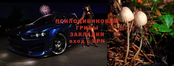 индика Абдулино